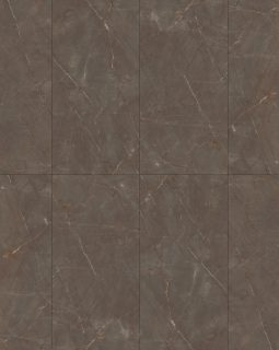 Polished Brown