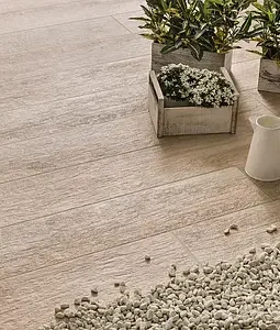 Greenwood Beige