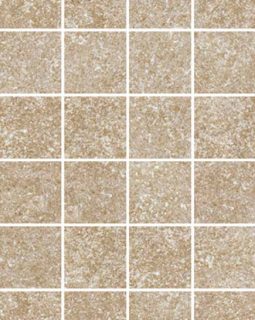 Earth Beige 10x10