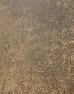 17534 V.Seta Papyrus