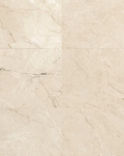 ESCUDO CREMA 45X45