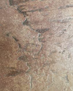 Terra 31x31